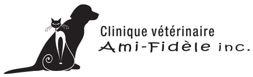 Clinique Veterinaire Ami-Fidele